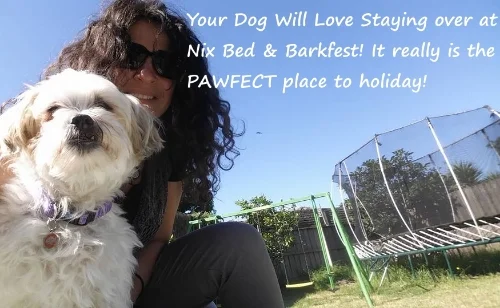  Why Nix Bed & Barkfest Is PAWSOME!