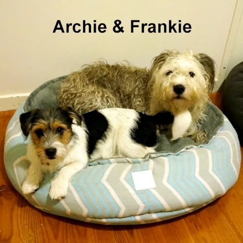 Frankie & Archie June 30th 2016 (6)-001.JPG