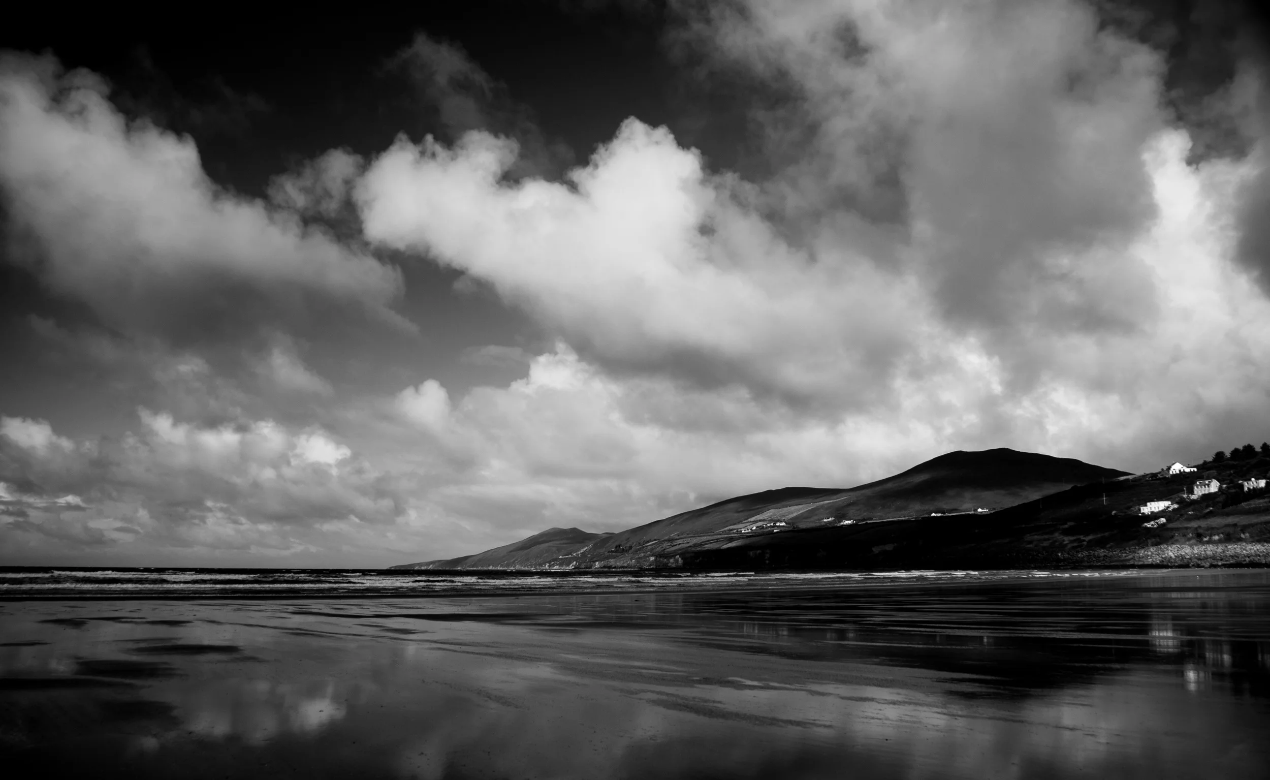 ©Dave McGrory