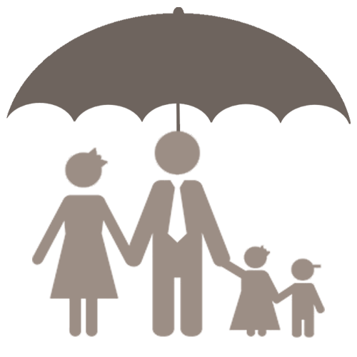 Lenders Mortgage Insurance