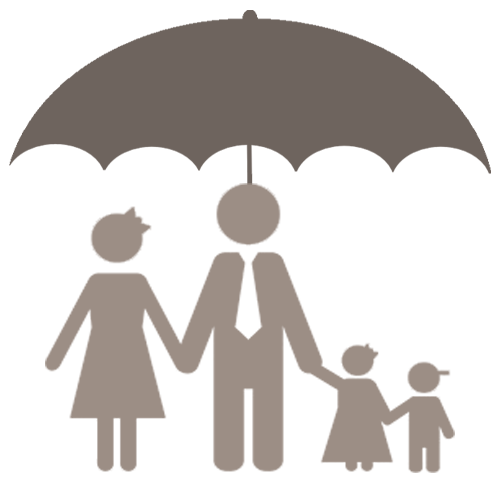 Lenders Mortgage Insurance