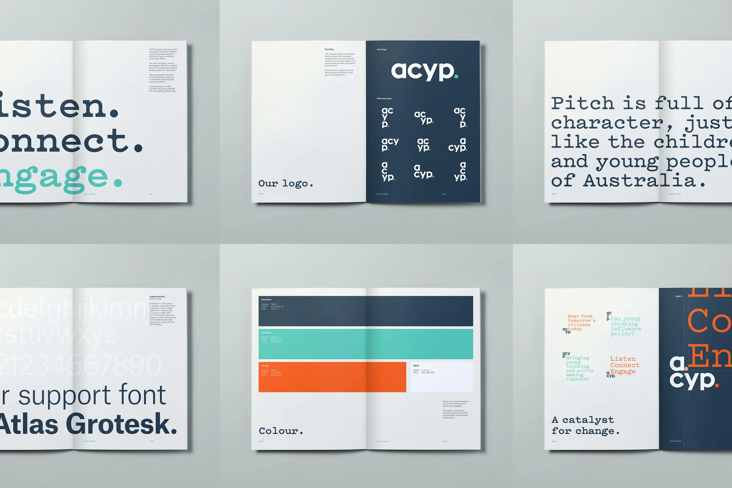 ACYP_CS_Guidelines.jpg