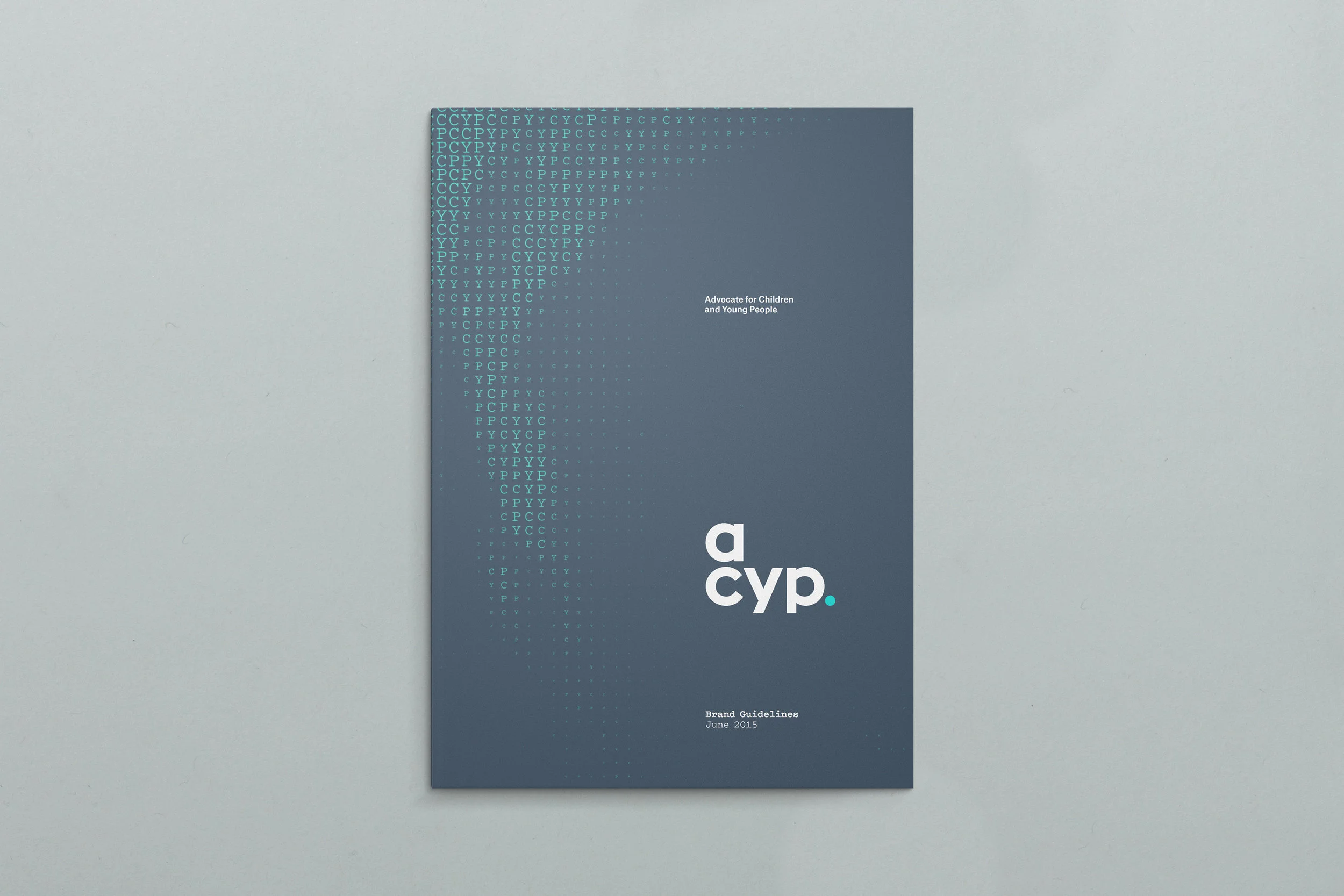 ACYP_CS_GuidelinesCover.jpg