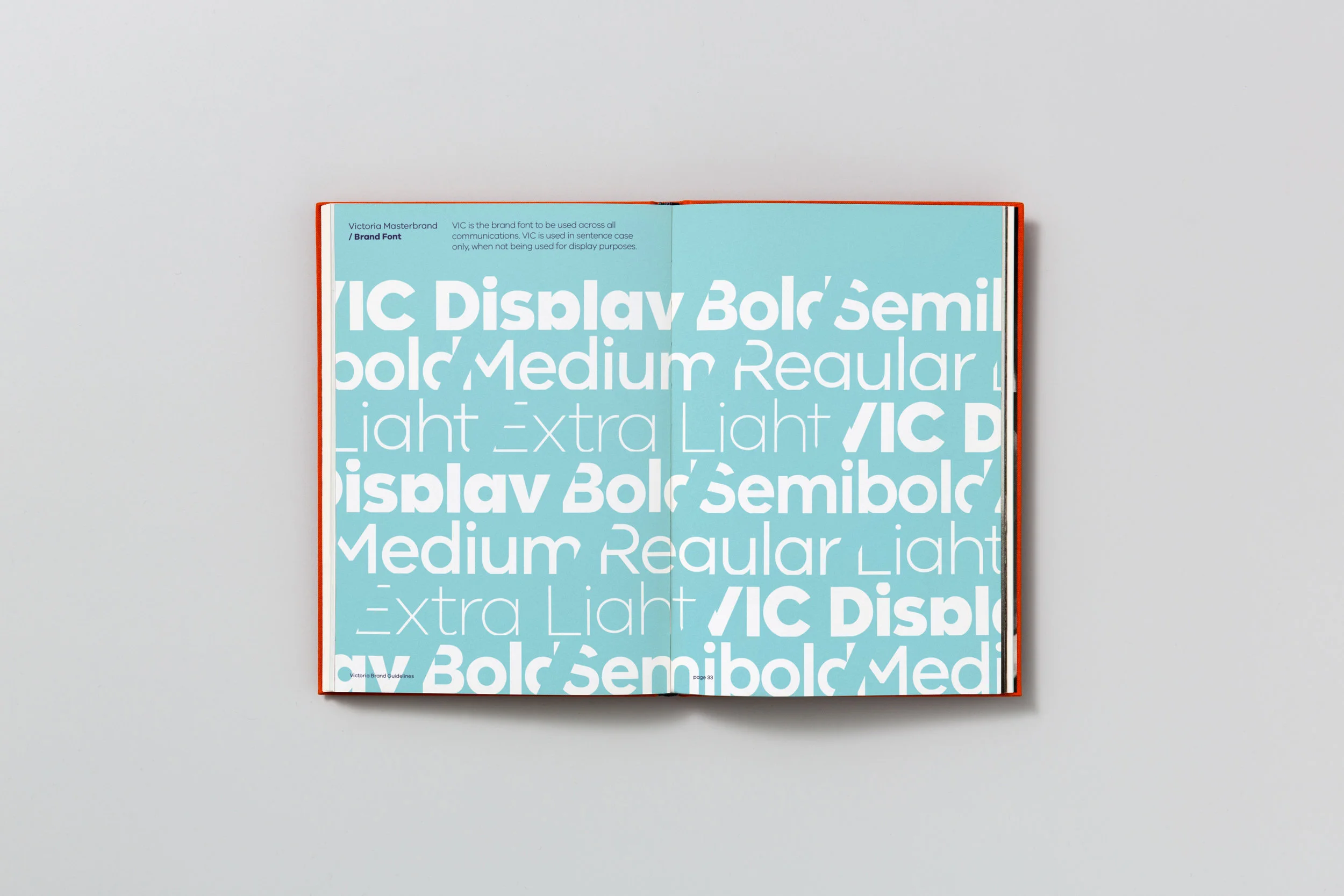 VICGuidelines_SP2.jpg