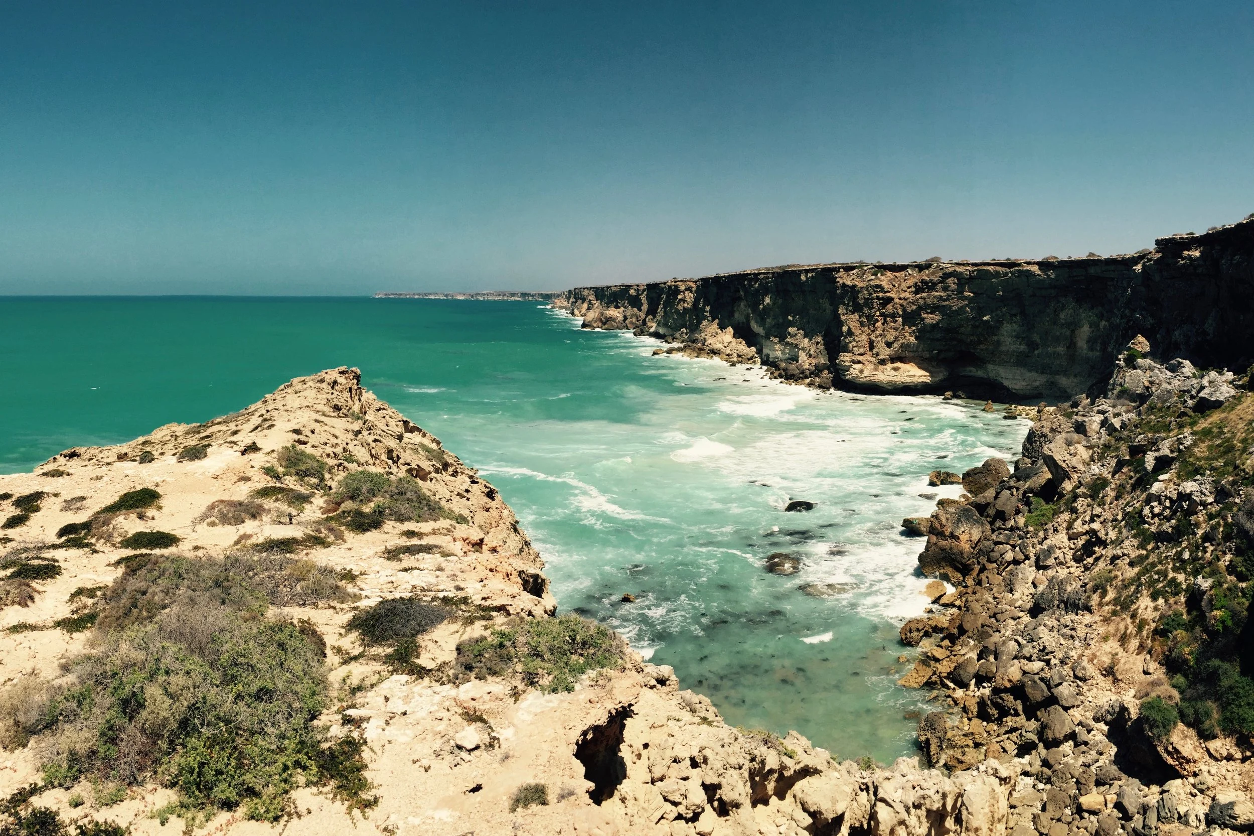 Pictured: The 'Head of the Bight', is a spectacular landscape where the continent of Australia meets the Southern Ocean.