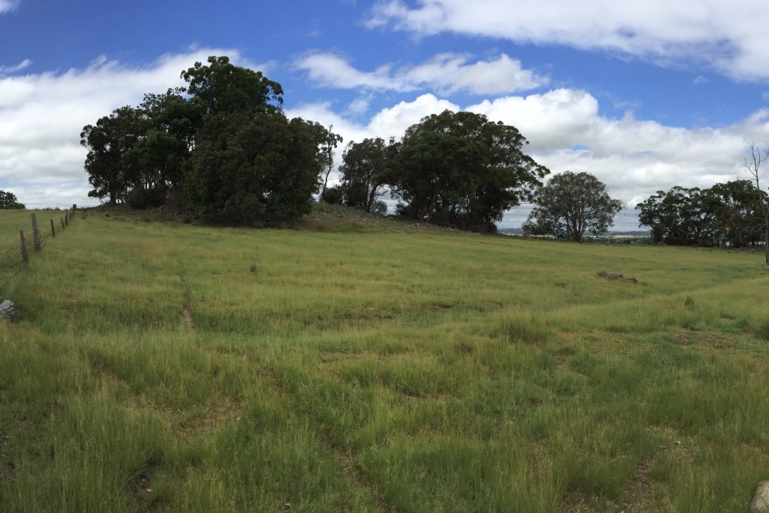 Pictured: The view from the south western corner of the Tenterfield property.