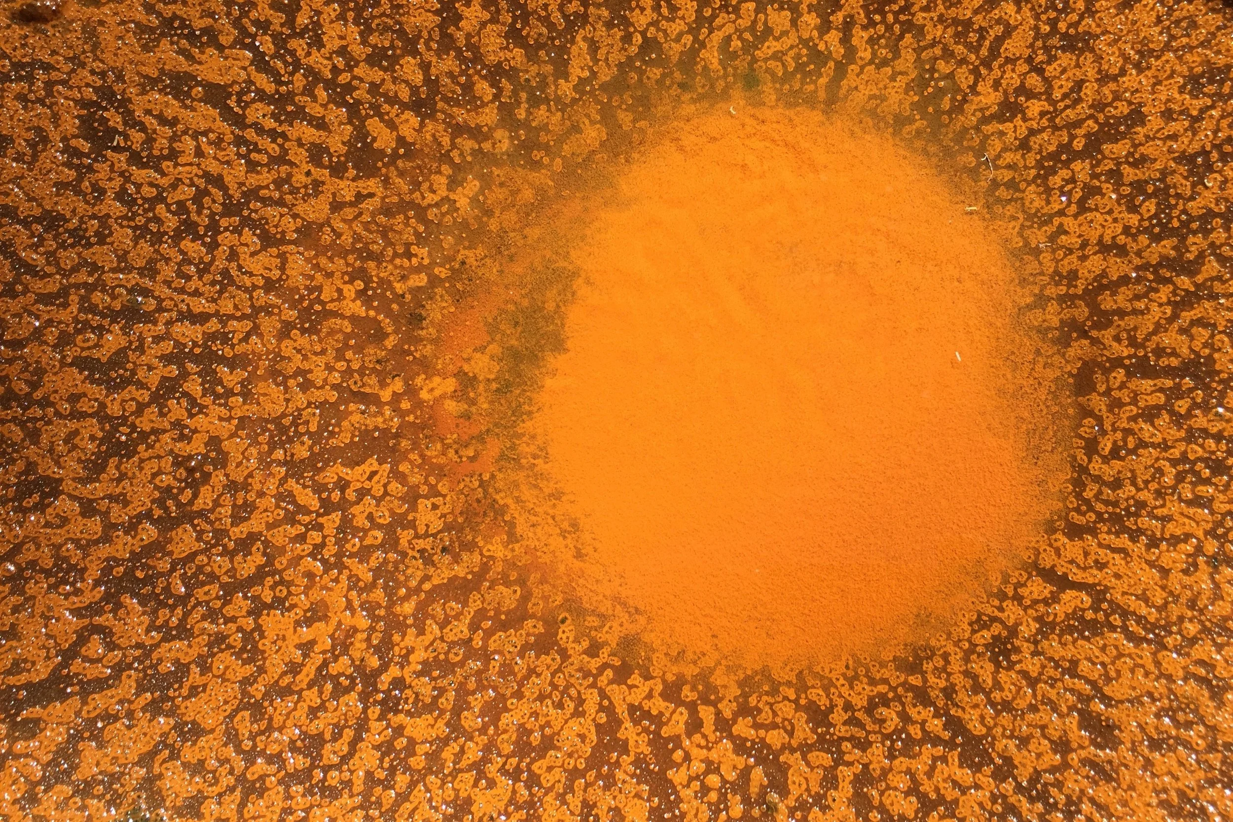 Pictured: The evidence of overnight rust on sheet metal after rain...