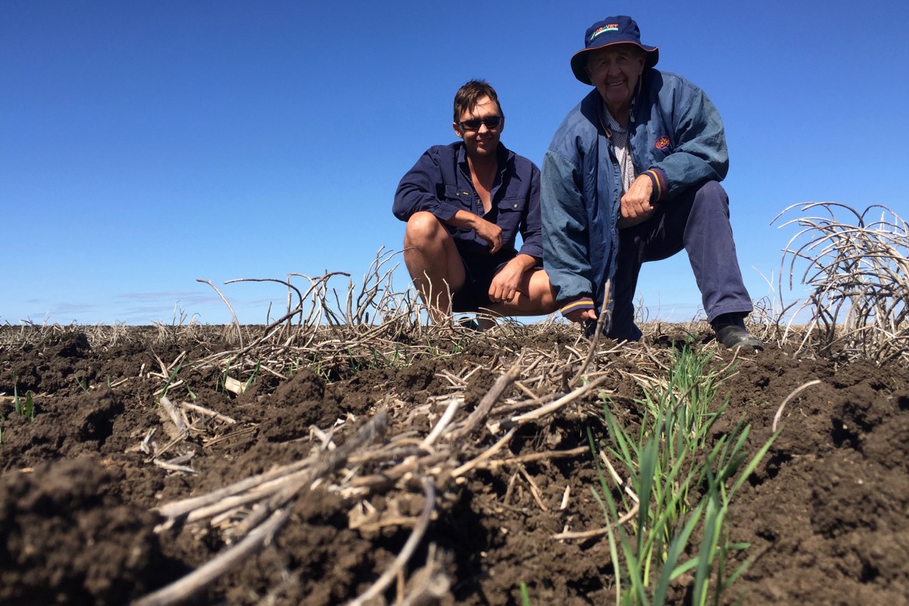 Pictured: Dion and Ian "Sambo" Sampson hard at work planting a wheat crop in the black soil of central Queensland.