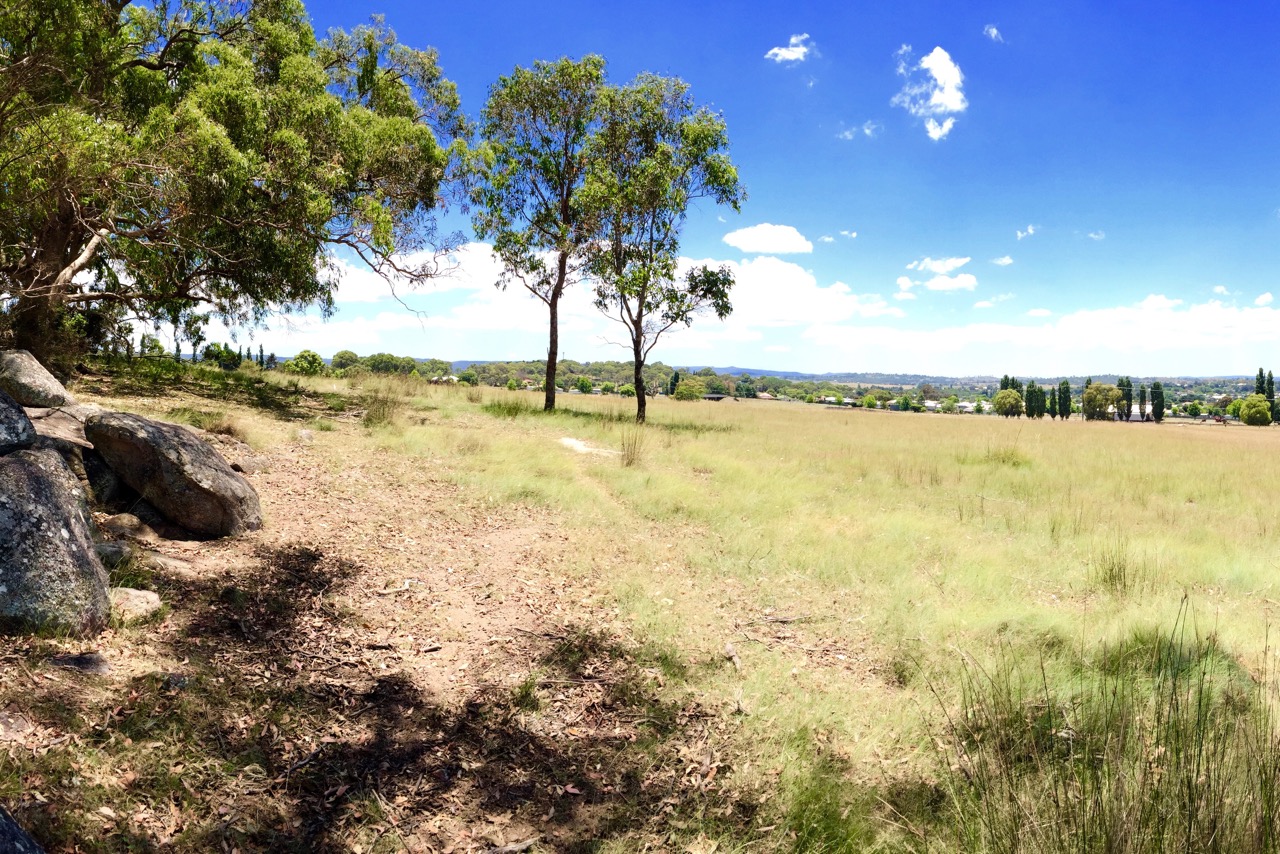 Pictured: The view of Tenterfield from the western side of the property.