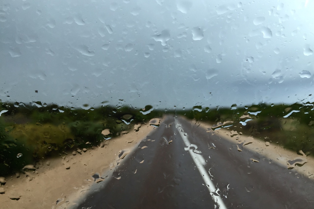 Pictured: The miracle of rain on thirsty land. The Flinders Highway on the Eyre Peninsula, SA.