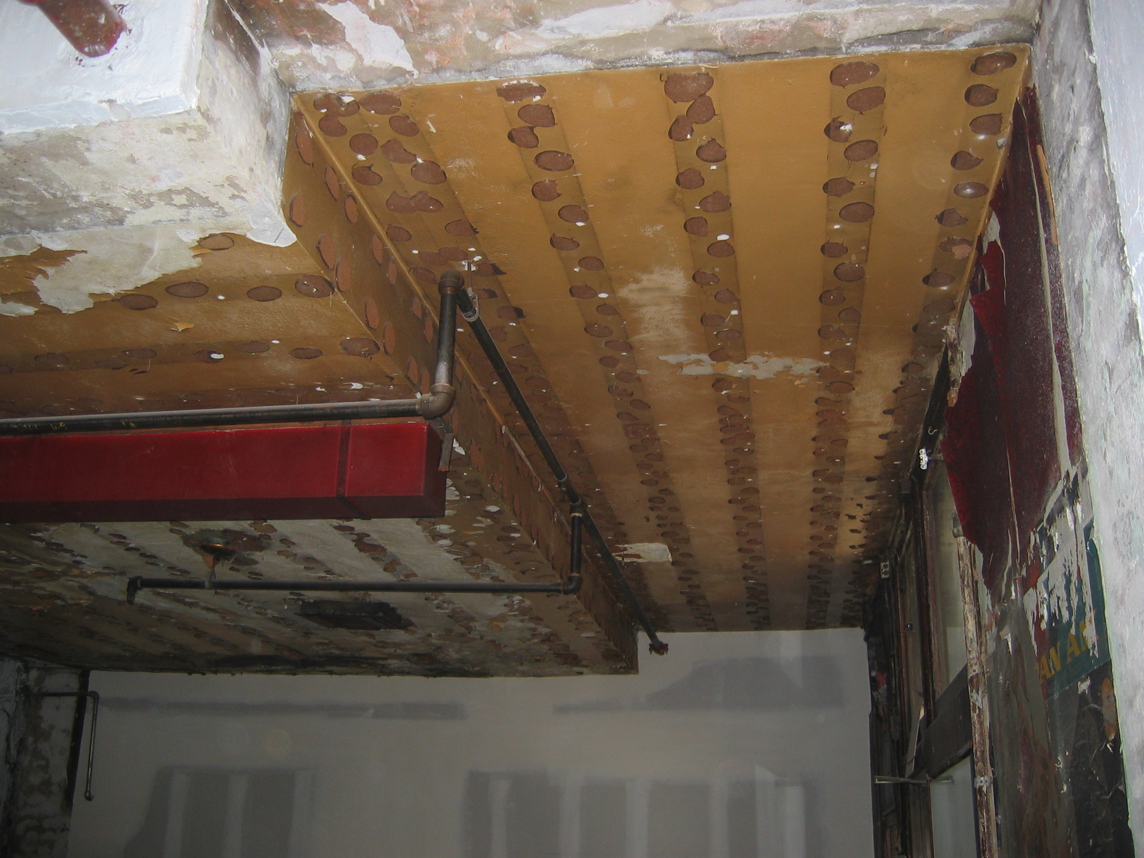 Randall-Baylon-ArchitectsInc.-Alvin-Oei-Blu-LA-Cafe-Existing-Ceiling.jpg