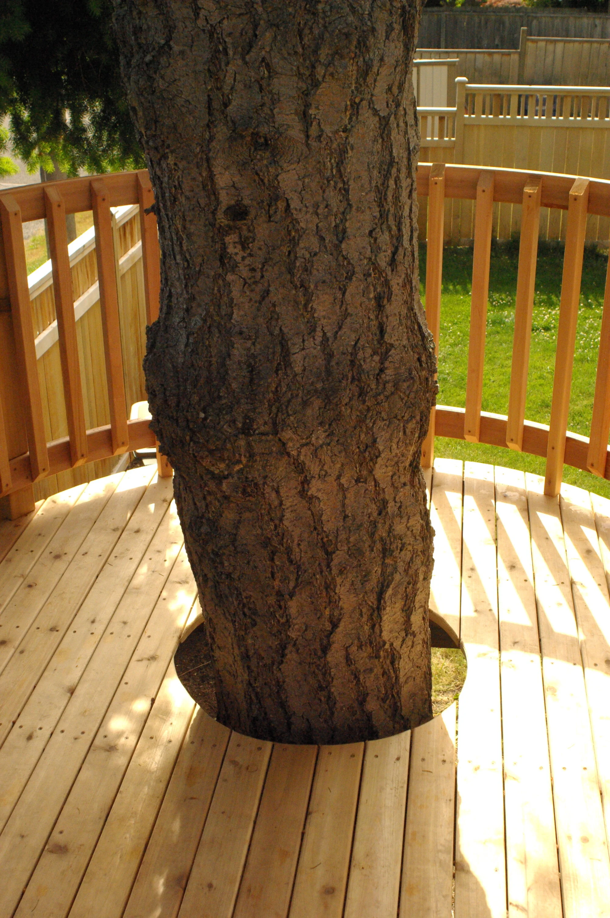 Deck - Hisatomi.JPG