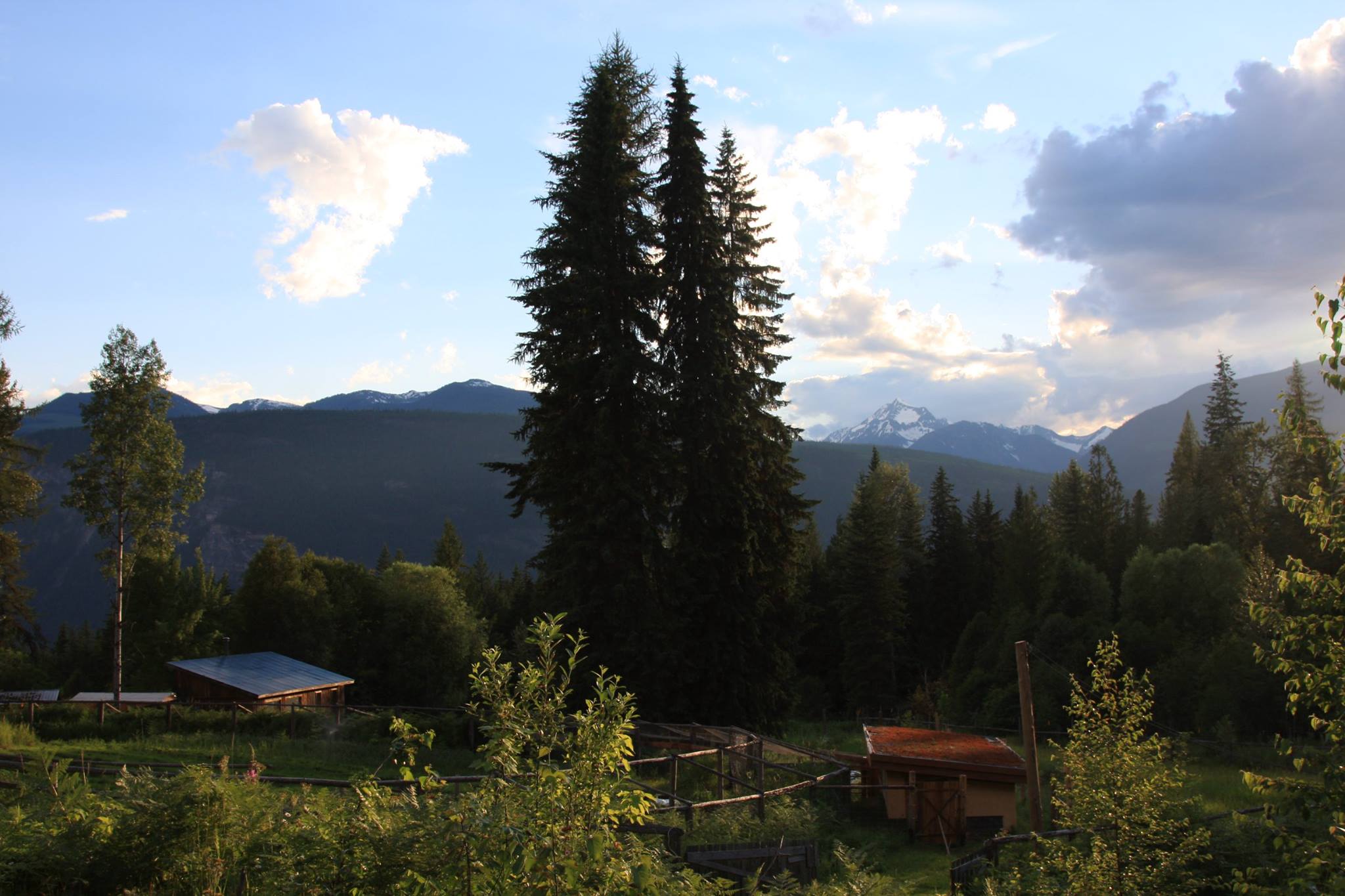 Our 20 acres border the Purcell Wilderness Conservancy Provincial Park affording breath taking mountain views. The Earl Grey Pass trail head is 1 km away. http://www.env.gov.bc.ca/bcparks/explore/parkpgs/purcell/