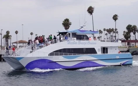 Harbor Breeze.jpg
