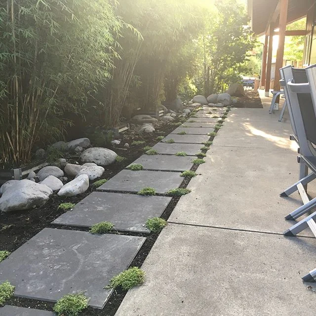 Patio Bumpout Complete! Corsican Mint between large concrete pavers and more Willamette River Rock.  #landscapedesign #landscapedesignbuild #eugeneoregon #concretepavers #corsicanmint #dripirrigation #patio #pnw #cascadianstyle  #bamboo