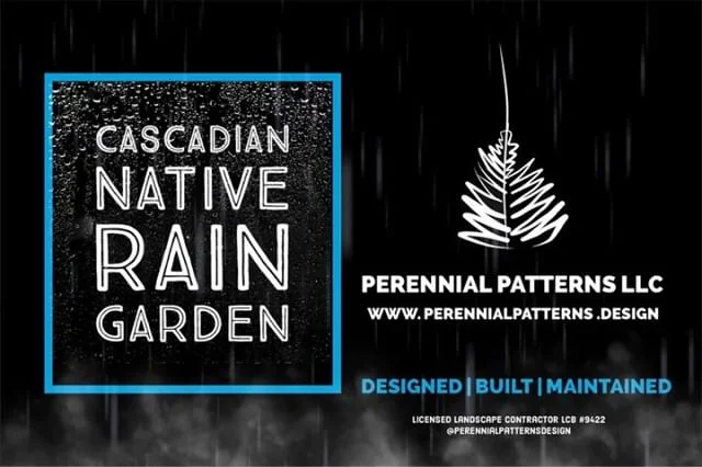 x3 Cascadian Native Raingardens. Scroll thru for video action! When it rains they come to life and save our city stormwater system from overloading. They also recharge the aquifer and keep water on the plants. 100% PNW native plants and materials.  #