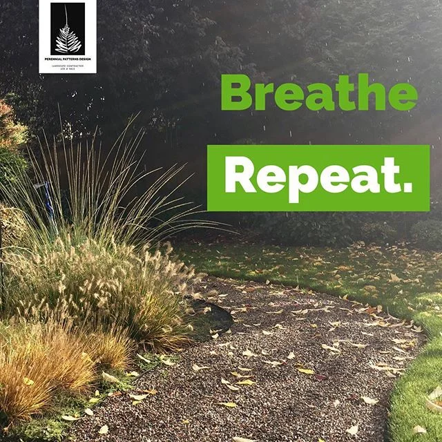 Fresh air: brought to you by the plants in your garden!  #slowyourroll #relax #garden #landscapedesign #pnw #breathe #gardenpath #gardenpaths #oregon #willamettevalley #repeat