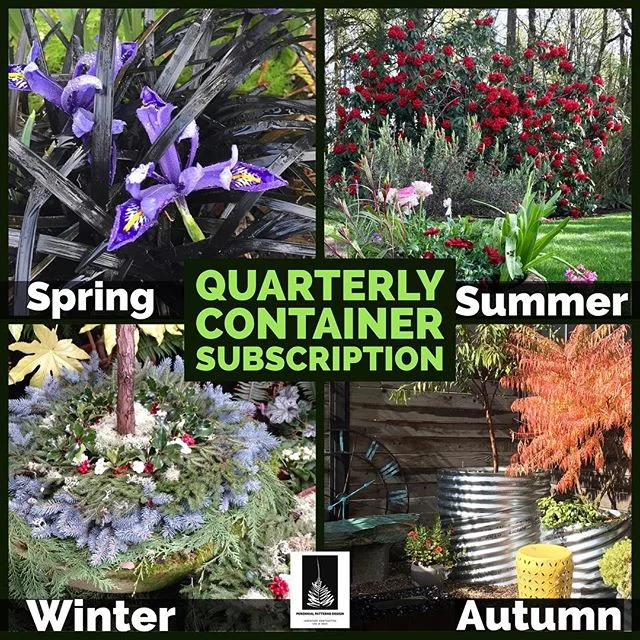 👋 Hey Eugene Gardeners, need a Hand with your Containers? We have a Subscription package that will scratch your itch for beautiful seasonal color! Get 1-time Design/Build, or Quarterly Updates and Continuous Plant Care. (Fresh Plants every 🌱🌼🍀Mar