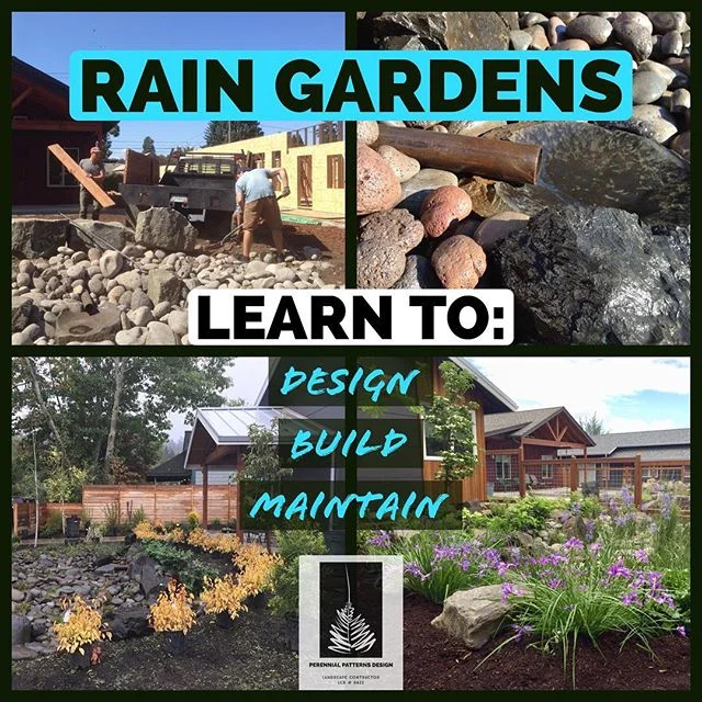 Learn to Design, Build, and Maintain your own 🌧 Rain Garden! 🌧  I&rsquo;ve just finished putting together a new online course 🖥 that shows you how to capture the rainwater from your gutters and put it to use in your garden. 🌻🌻🌻 This course will