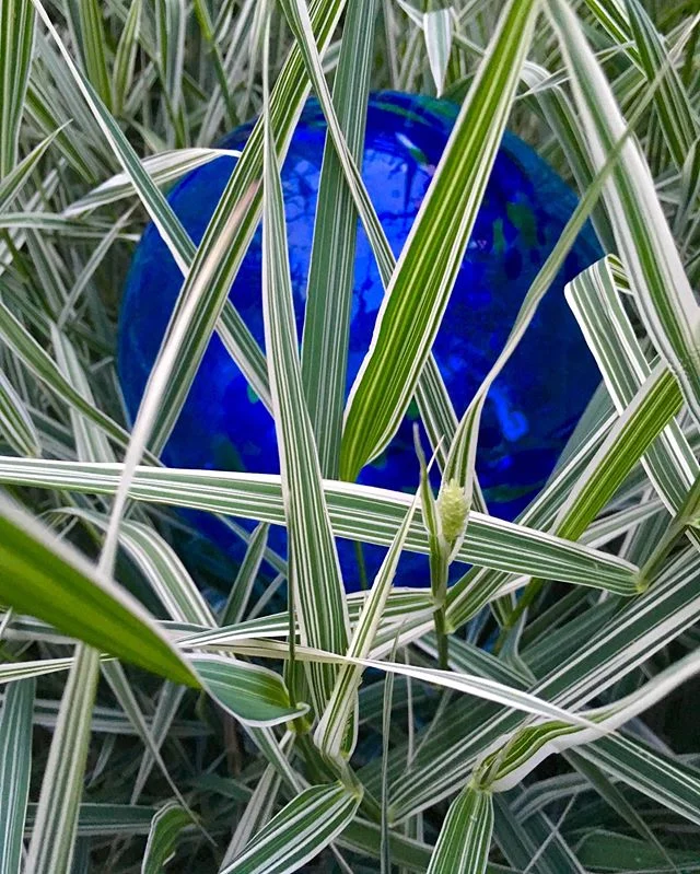Eye candy from Summer 2019. Swipe thru for small doses of dopamine... What is it about flowers that is so aesthetically pleasing?? ...when you&rsquo;re done looking, slow your scroll. Put down your phone, and go outside!
#flowers #pnw #garden #landsc