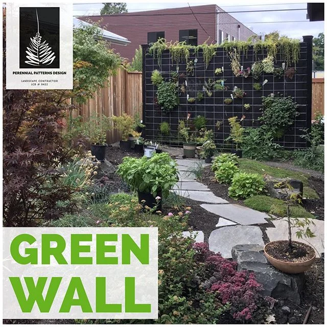 Isn&rsquo;t it about time you grow UP?!Green Wall at 1 year growth.  It&rsquo;s amazing to realize this is x17 Growing Area Multiplier: 12 sf footprint &mdash;&gt; 204 sf total area!! The power of a vertical garden to maximize your growing space is a