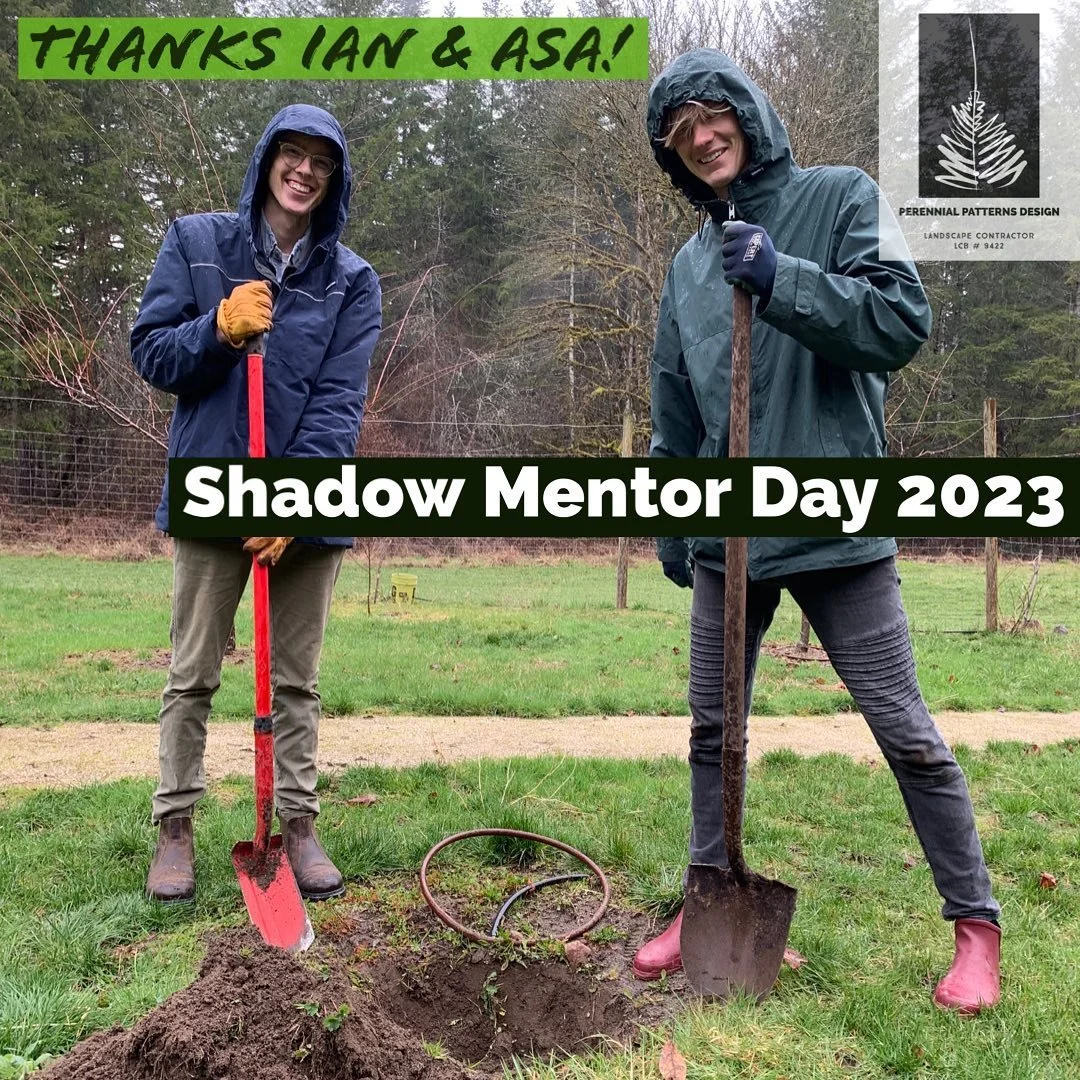 Shadow Mentor Day is back! Feb. 3, 2023 I hosted UO Landscape Architecture graduate students Ian Vierck and Asa DeWitt for the day, where we planted some bare-root fruit trees and toured some projects. This one is a fantastic remote Mohawk River home