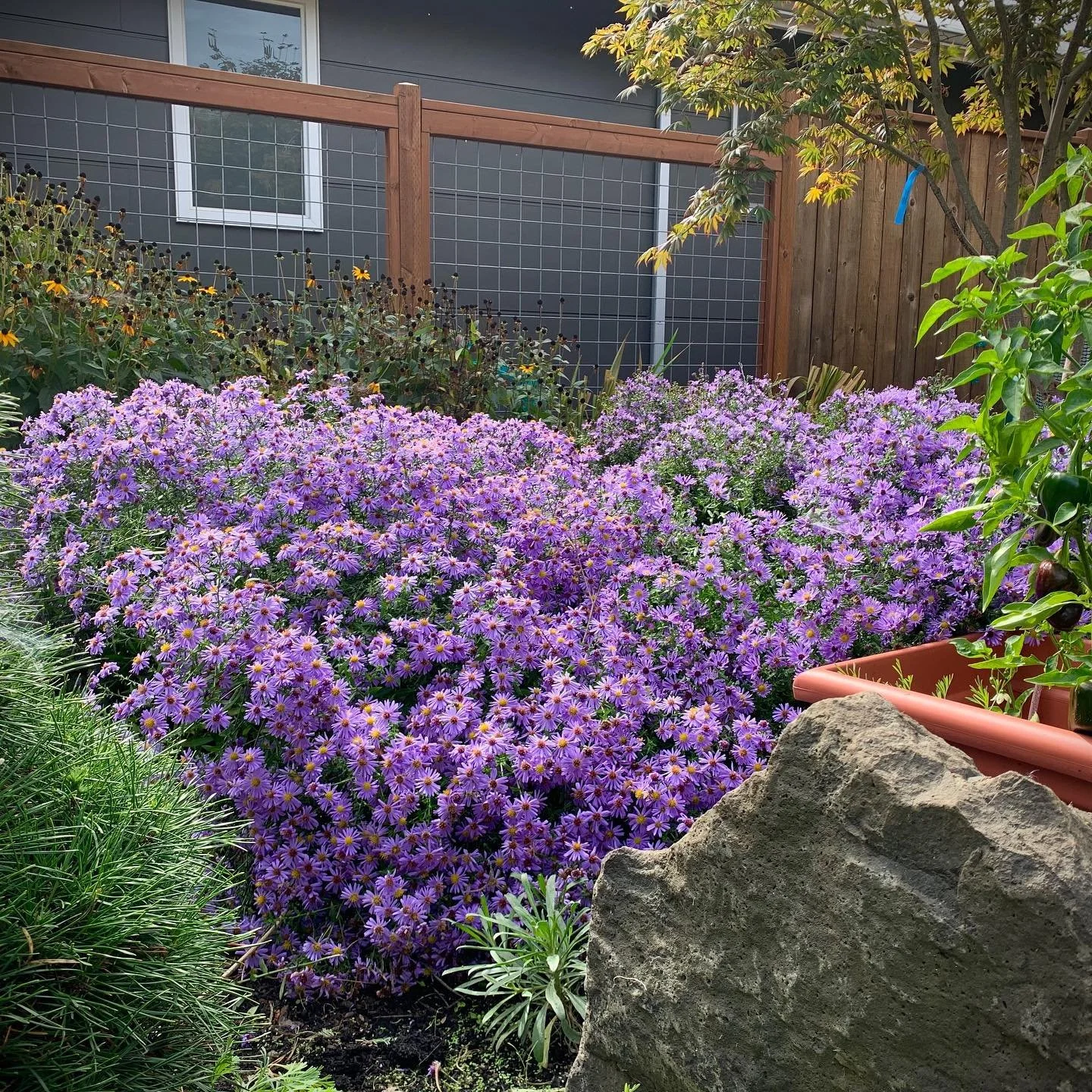 A few photos from 2021, too many to  post em all!!