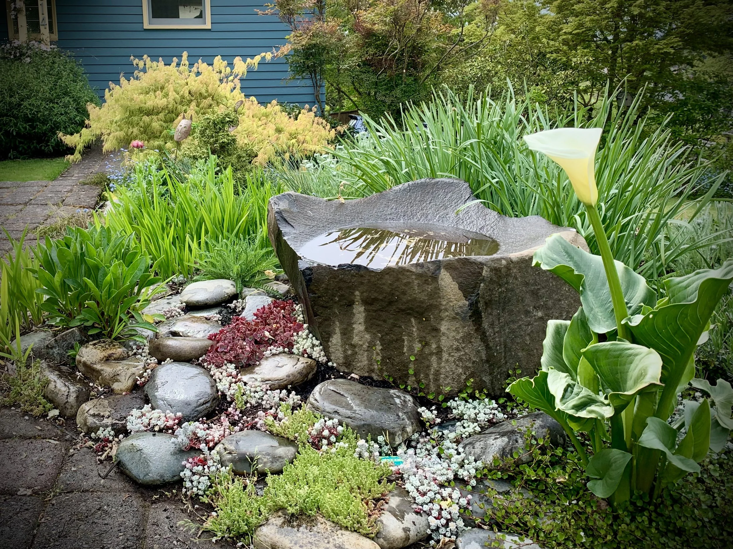 Laurelwood Hills.jpeg