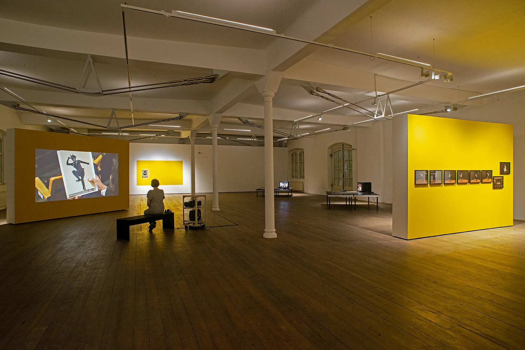 ... THE VAST LAND FROM WHICH SHE COMES. Installation shot: Kunsthalle Exnergasse, Vienna, 2019 (Photo: Werner Kaligofsky)