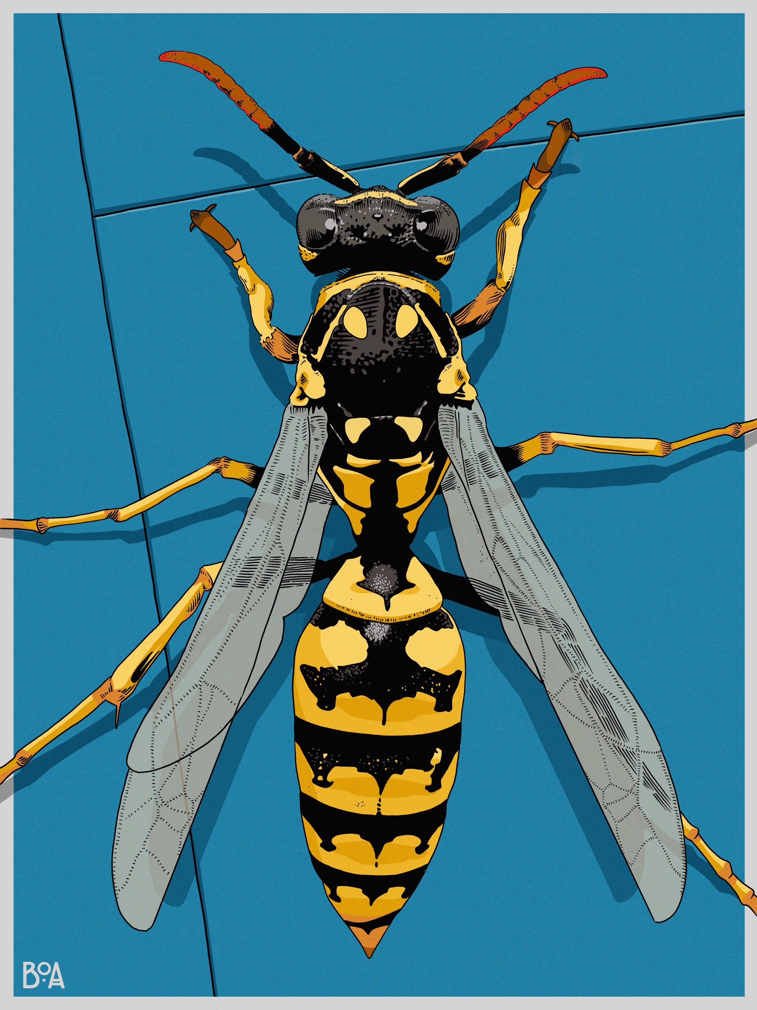 Illustration of a wasp on a blue background.