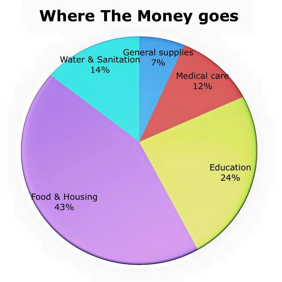 We want to be very clear that 100% of all funds raised in through donations is used to support children. There are no admin fees, salaries or hidden costs involved. The pie chart below outlines where the funds will be used from our donors.