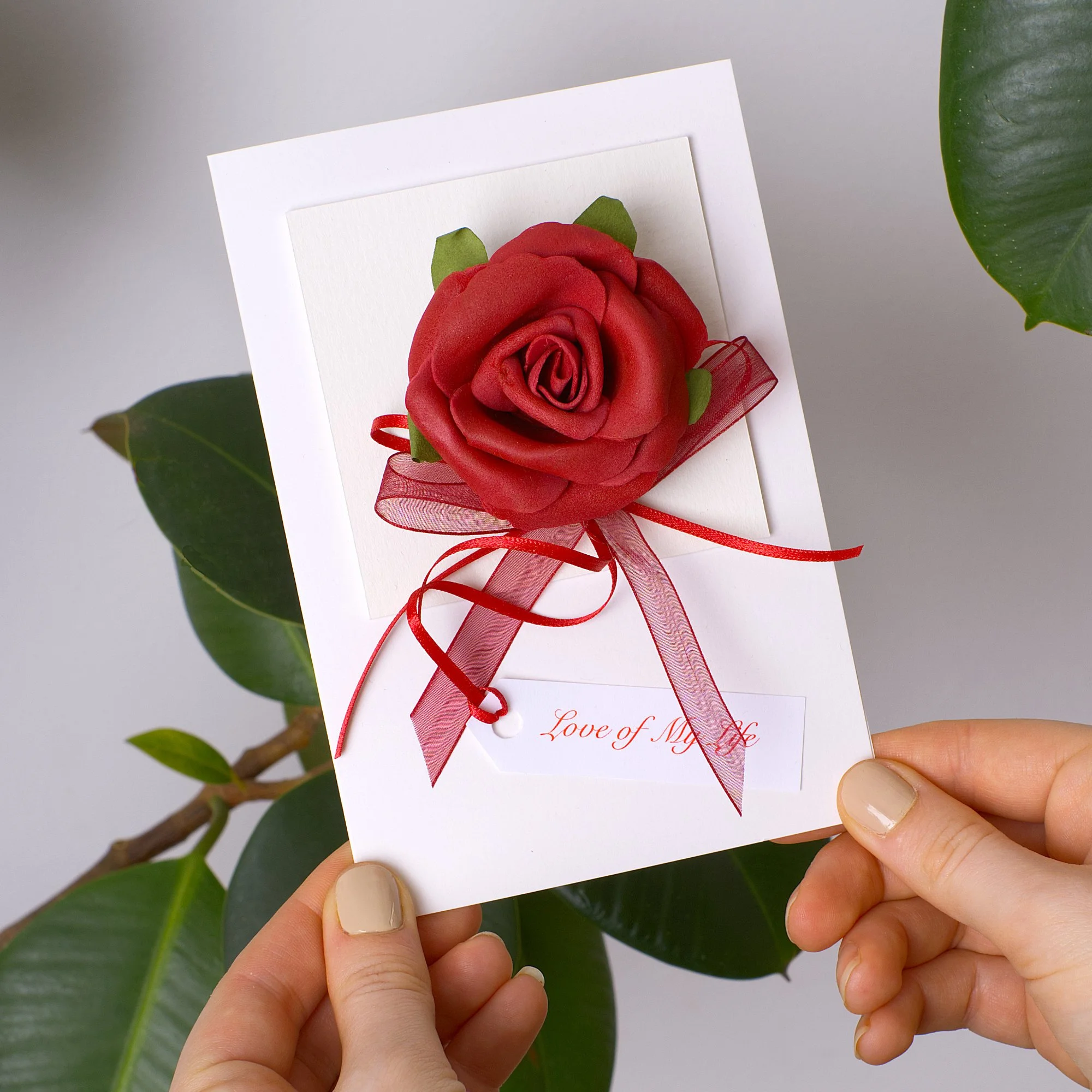 LoveRedRoseDSCF0564_WEB.jpg