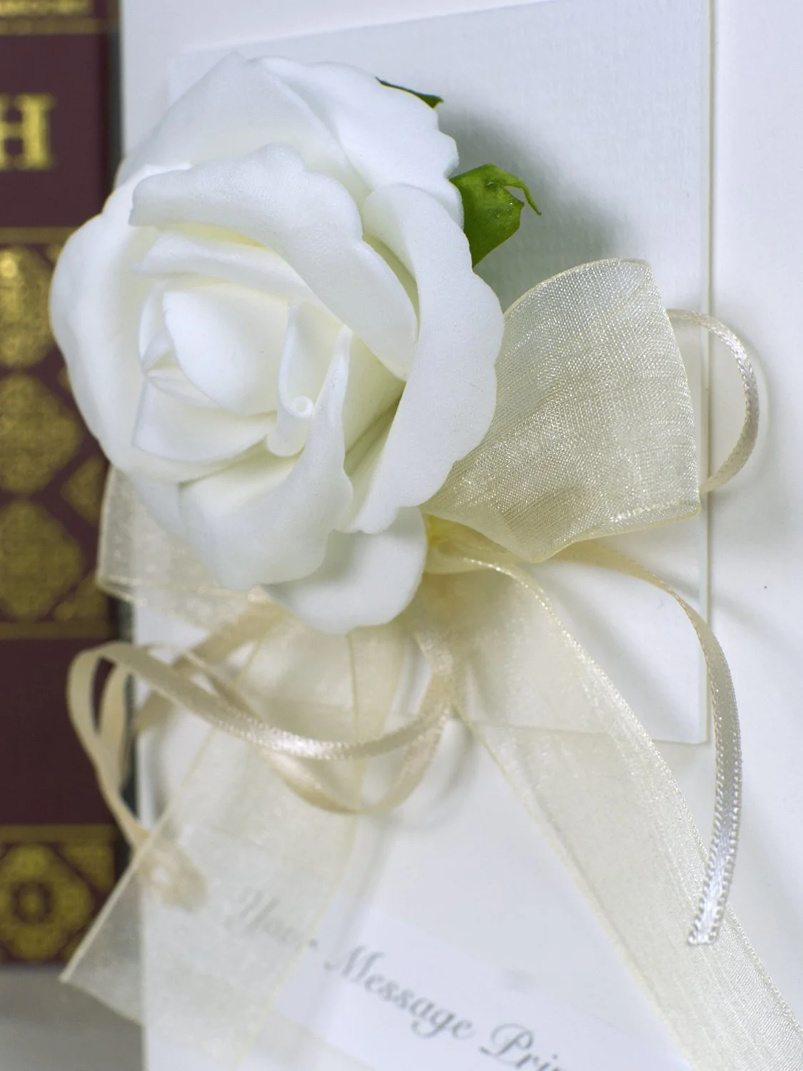 WhiteRoseSingleLargeDSCF0210_KBWEB.jpg