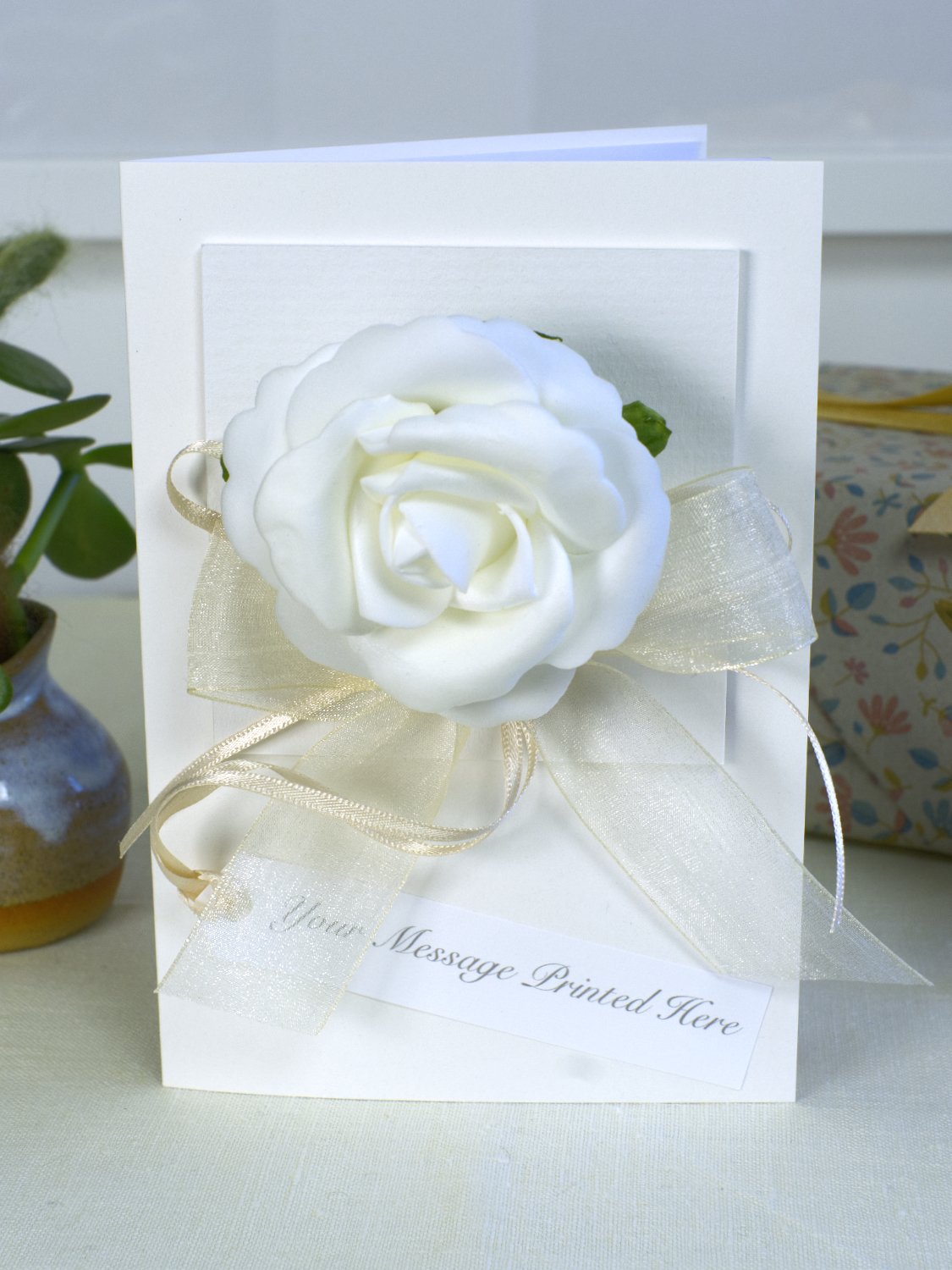 WhiteRoseSingleBigDSCF0170_KBWEB.jpg