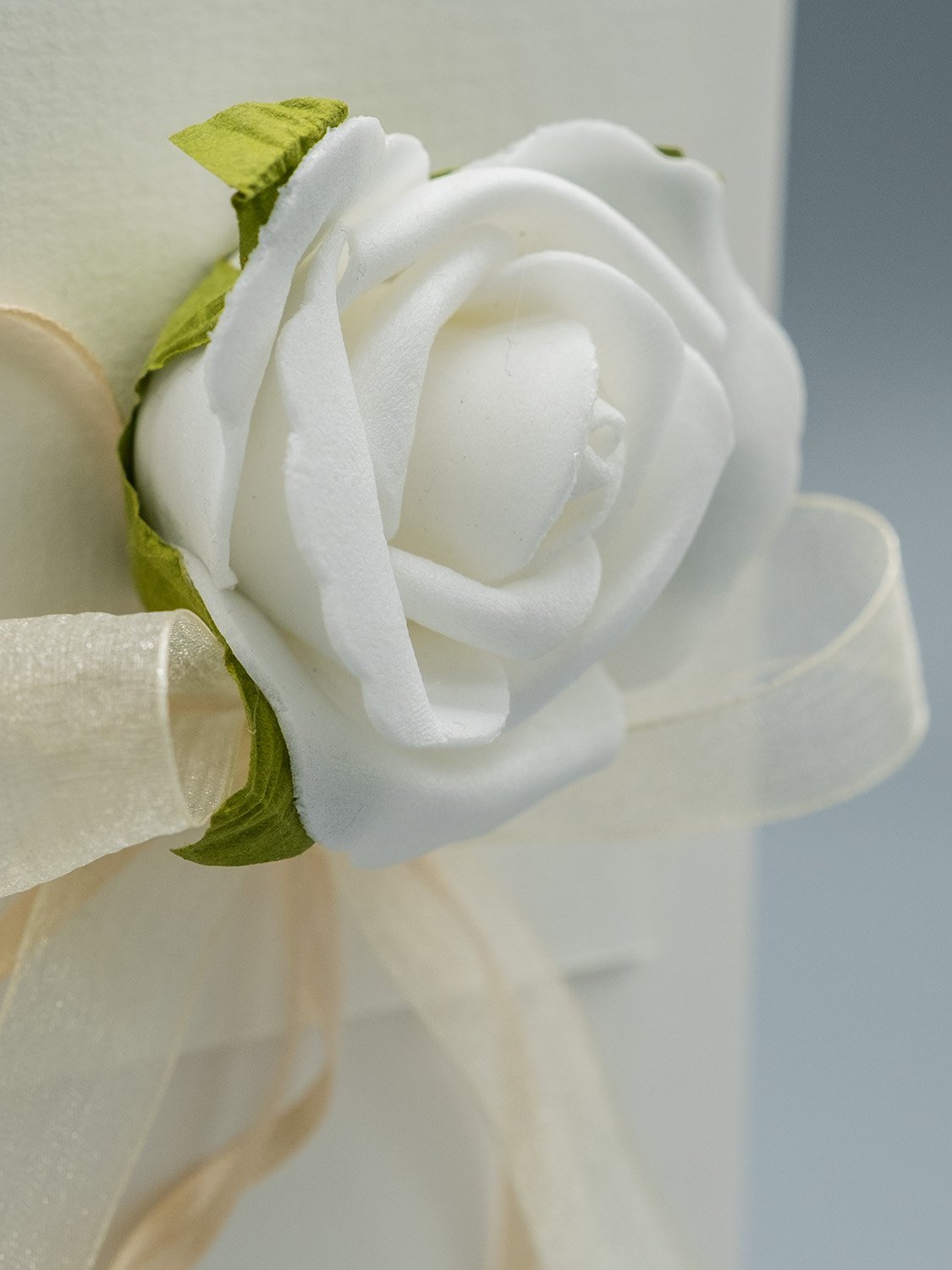 single_rose_white-02.jpg