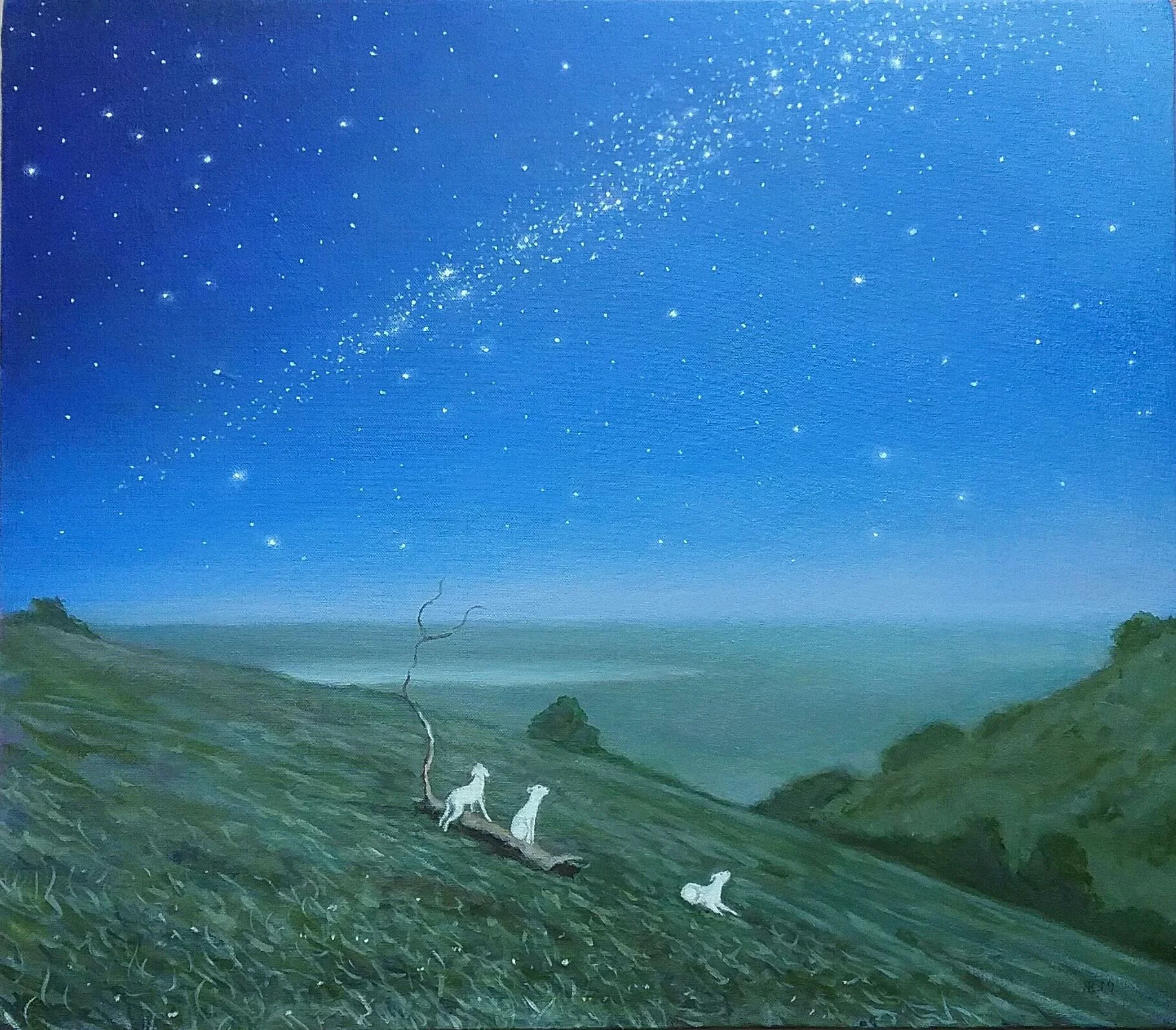 Stargazing