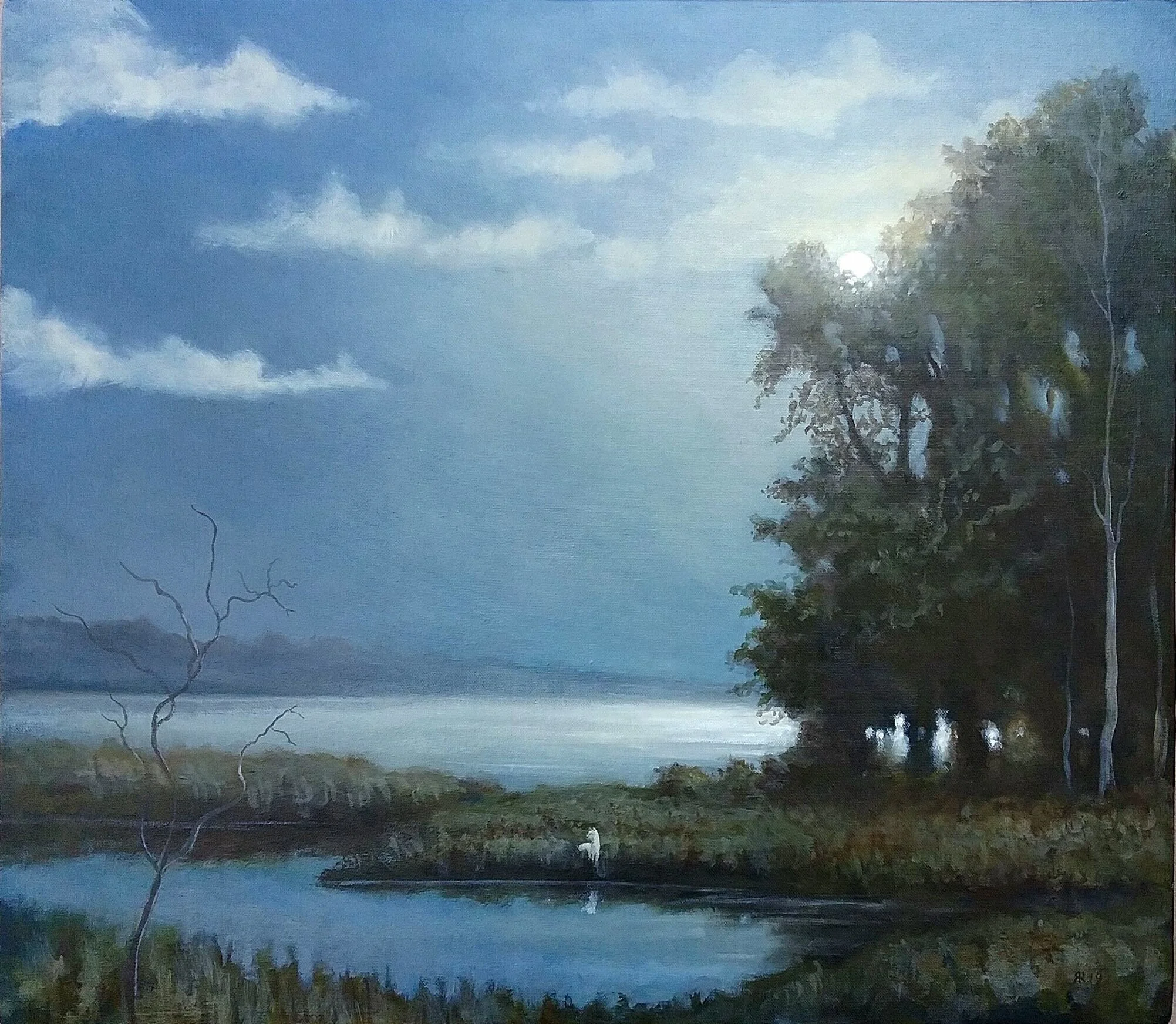 Ghost of a Lost Species.jpg