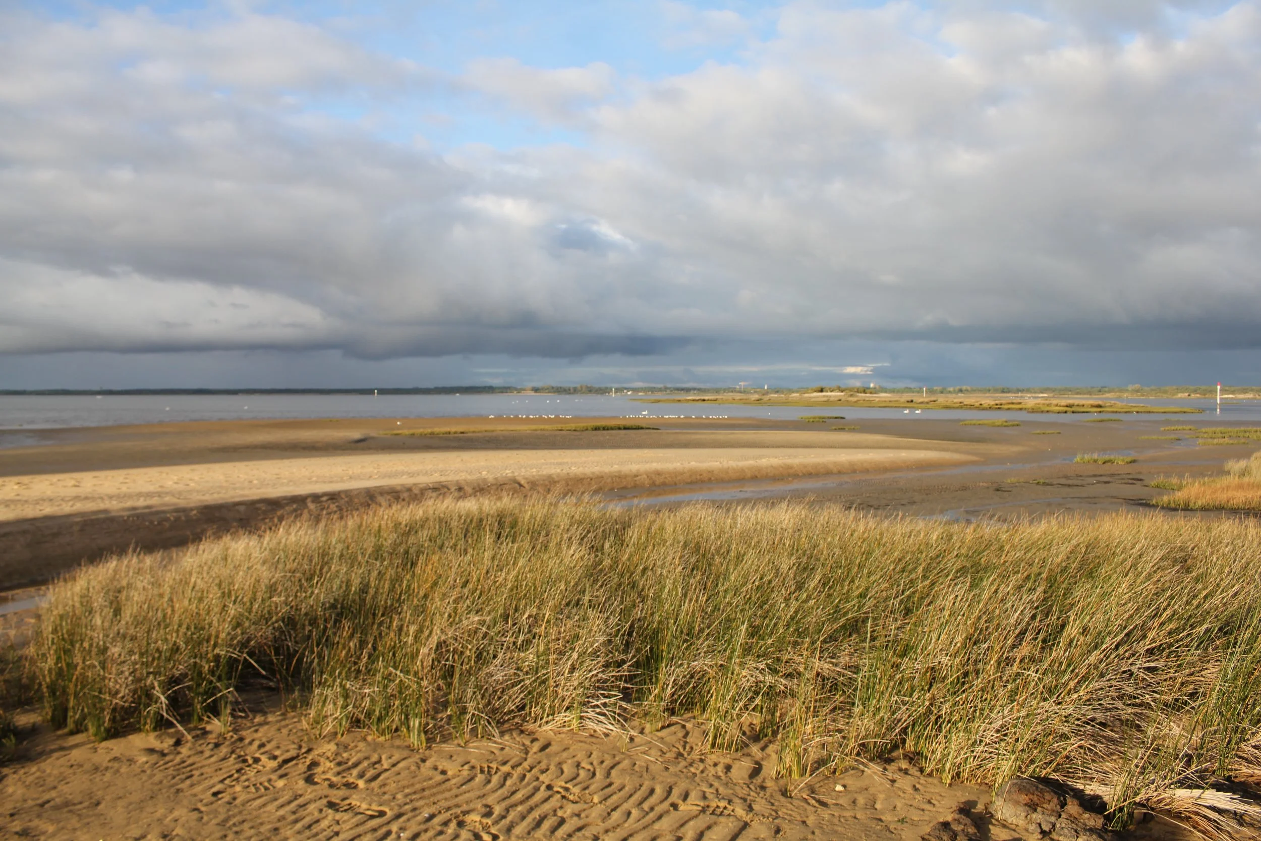 Arcachon Bay (low tide)