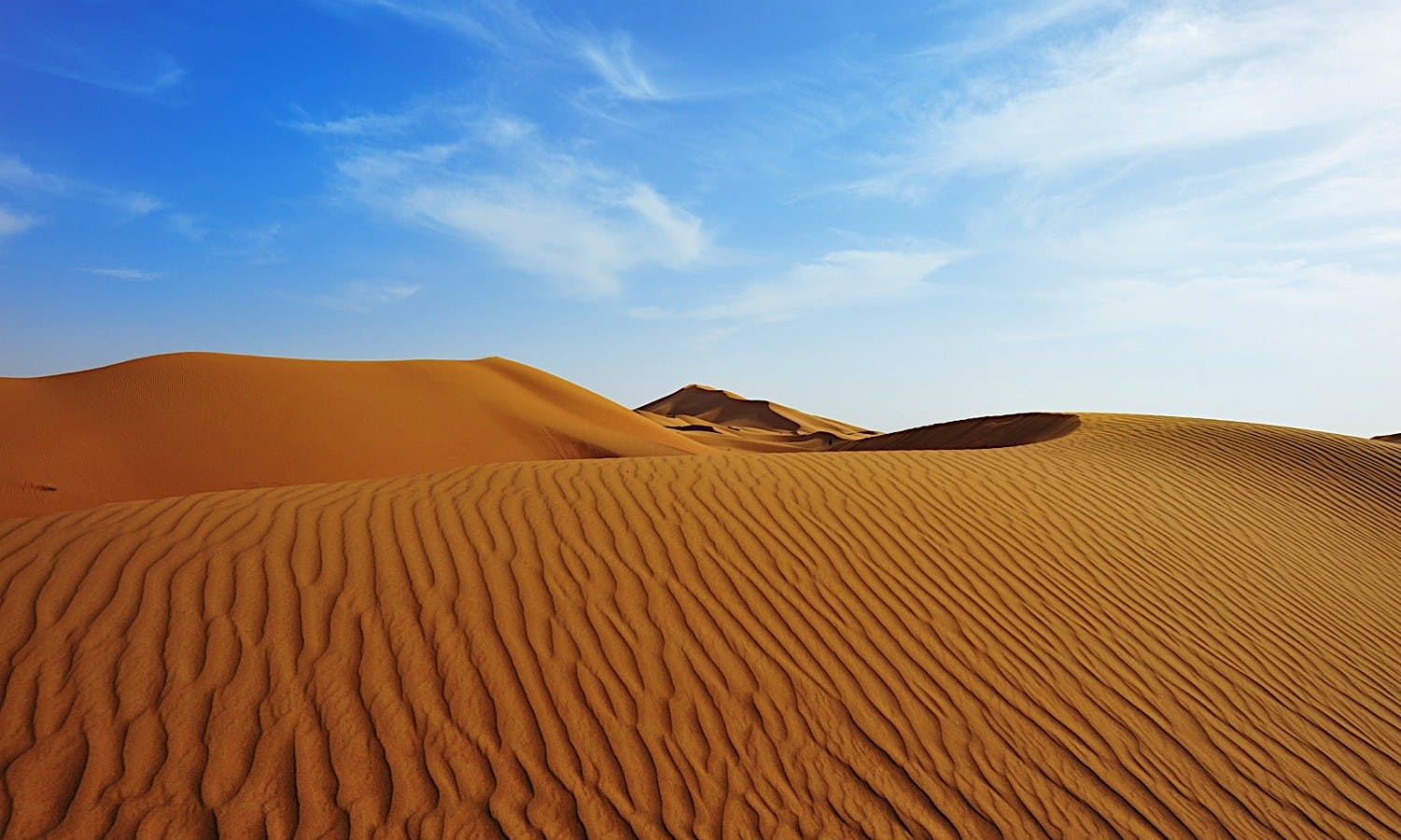 thumb_59023_cover_header.jpg