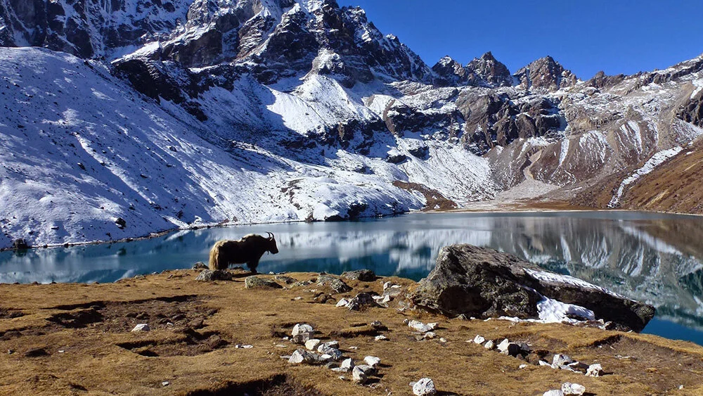 Trekking to Everest Base Camp via the Gokyo Valley Circuit - Is it worth it?