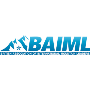BAIML-logo-2020-with-gentian-BLUE-GRADIENT-RGB-scaled_square.png