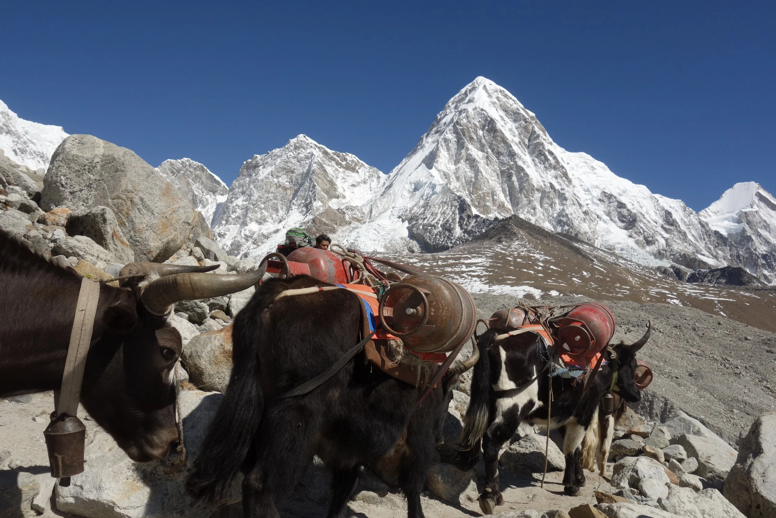 Yala Peak Expedition, Nepal