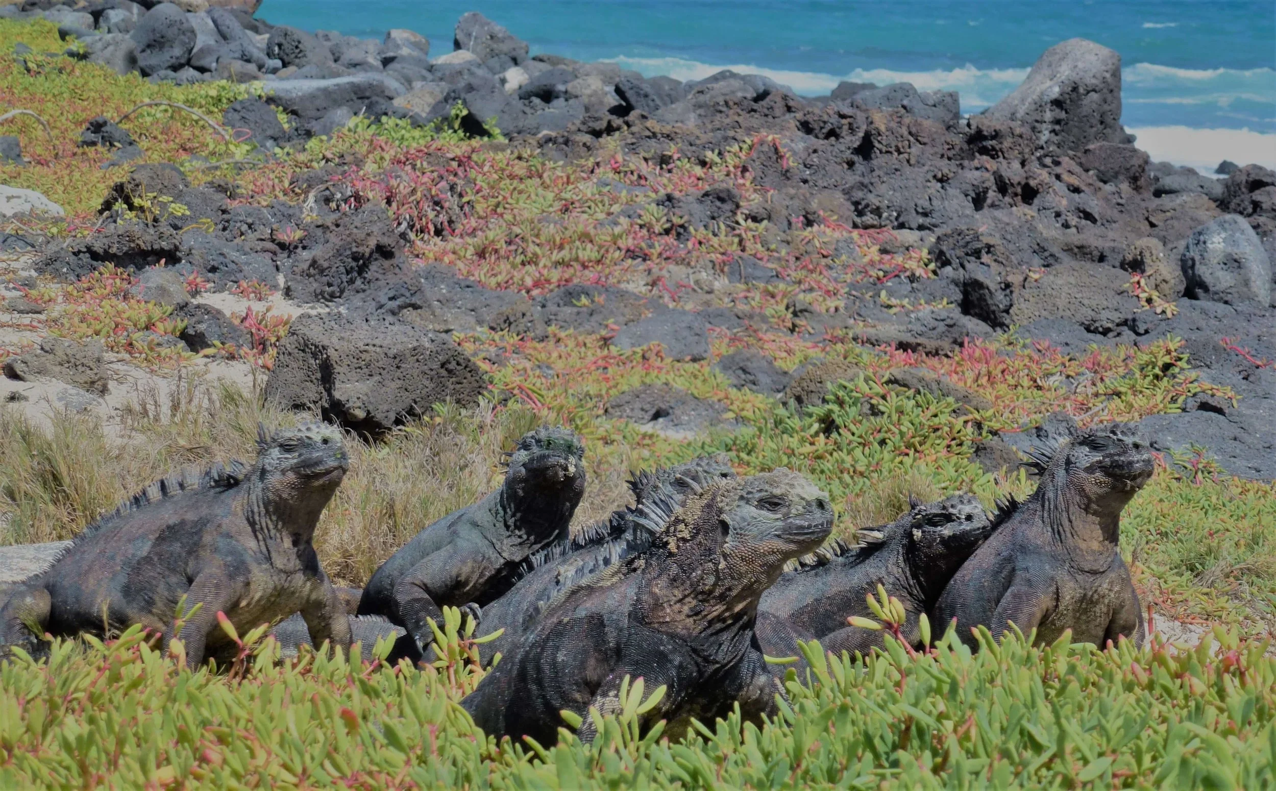Ecuador and Galapagos