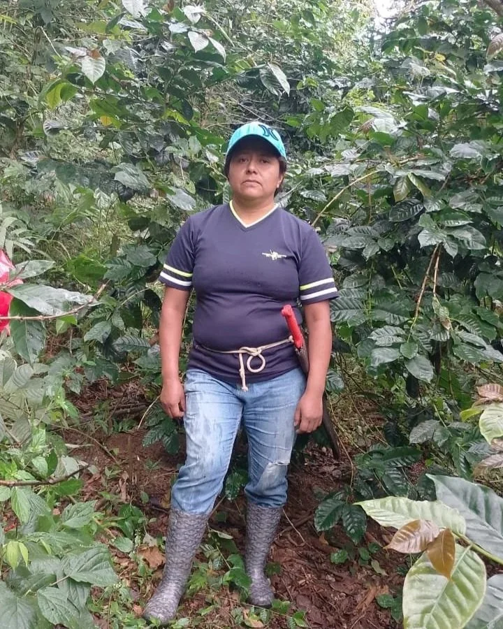 Magnolia Vicente (El Zapoteco, Cacalotepec).jpg
