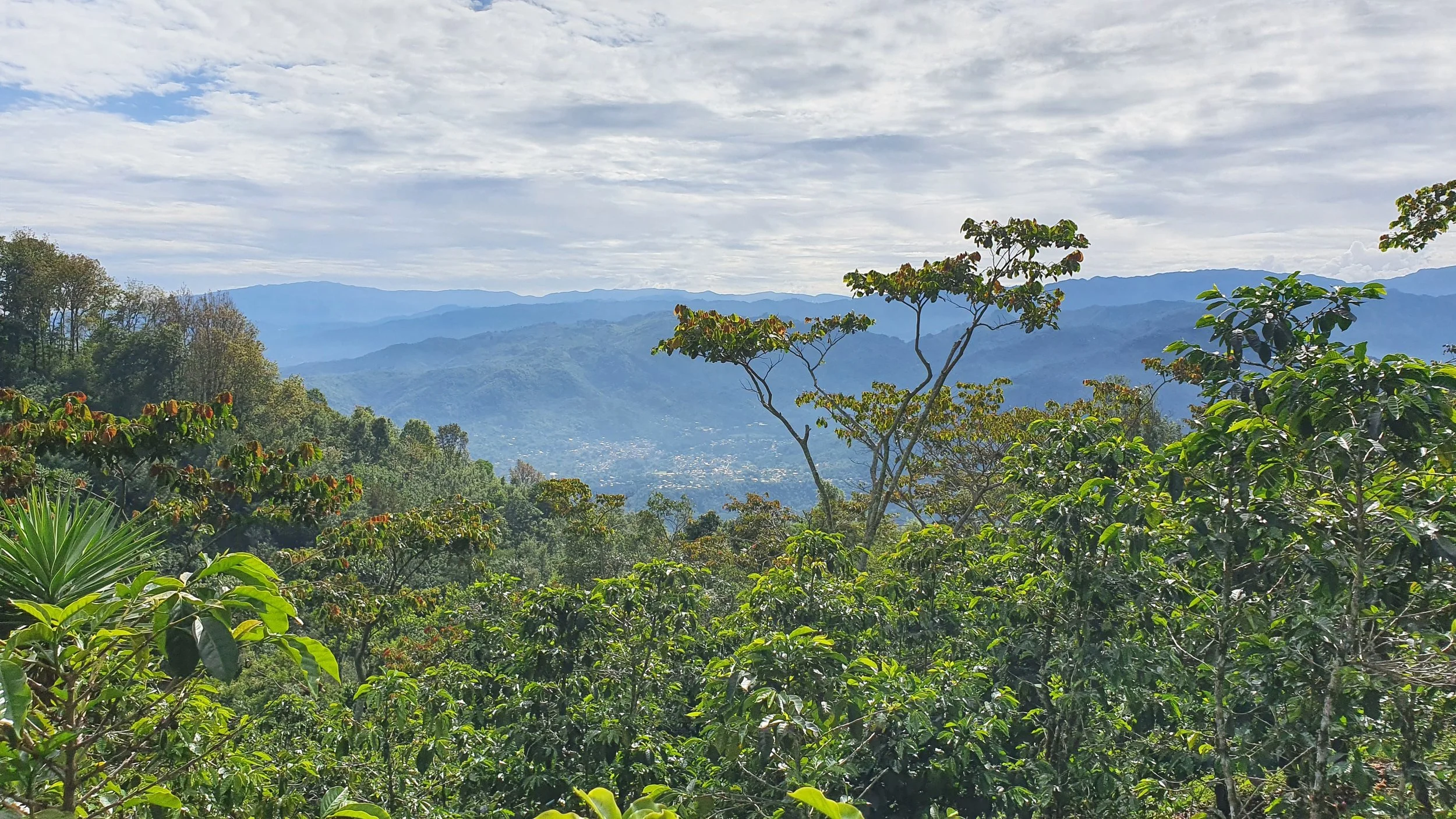 view from El Carpintero.jpg