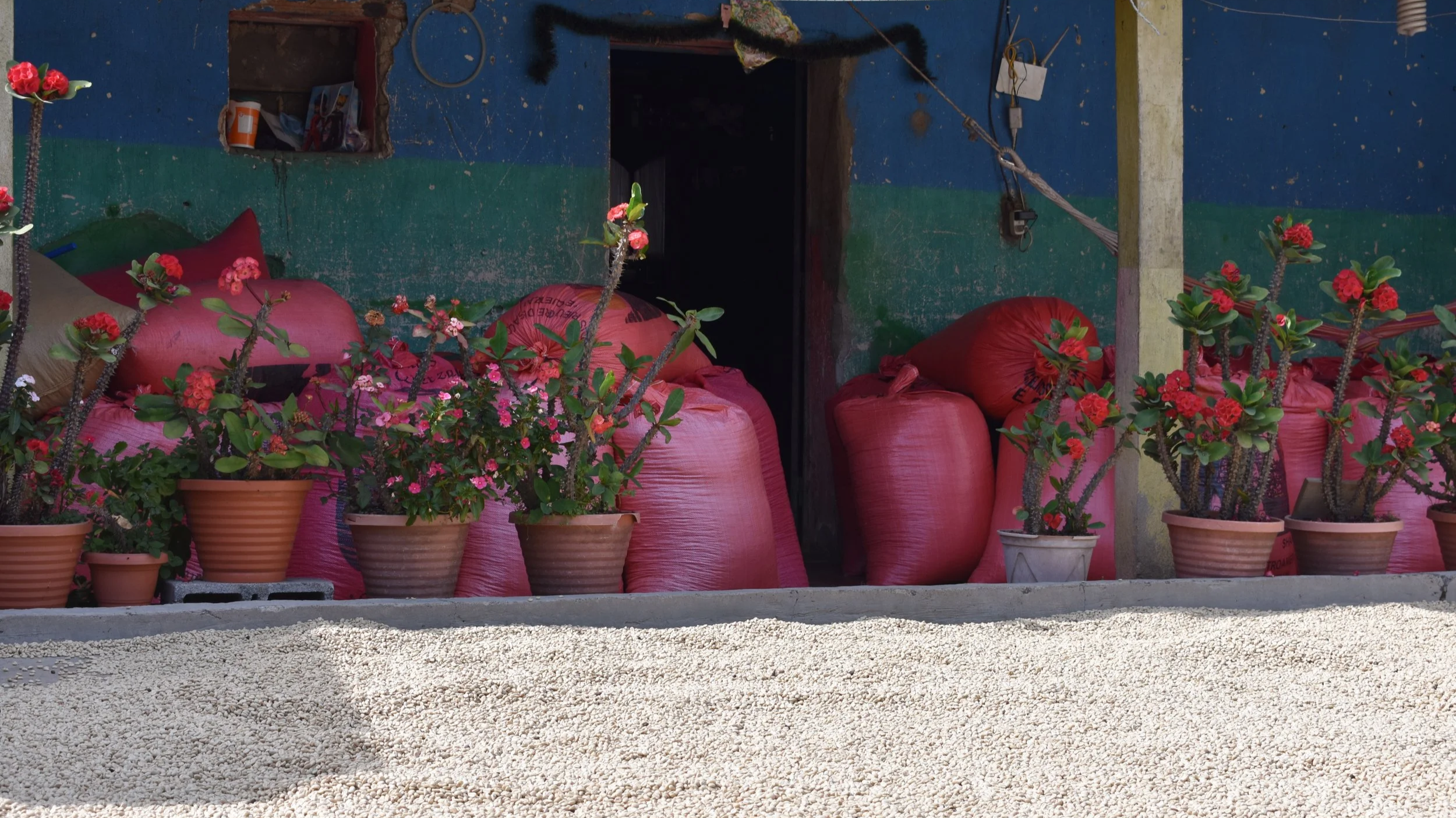 Los Nisperos farm, Guatemala.png
