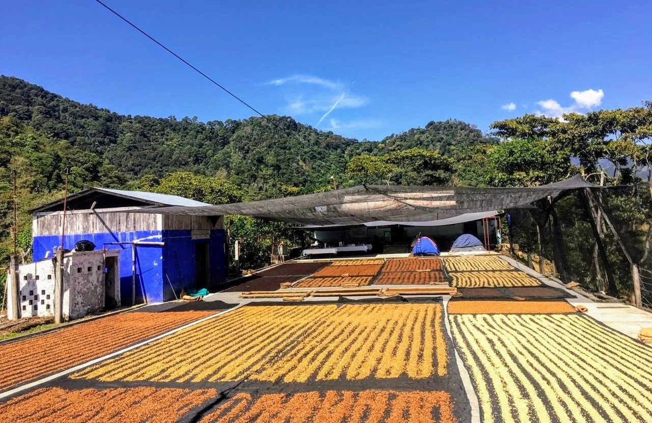 Finca Chelin.jpg