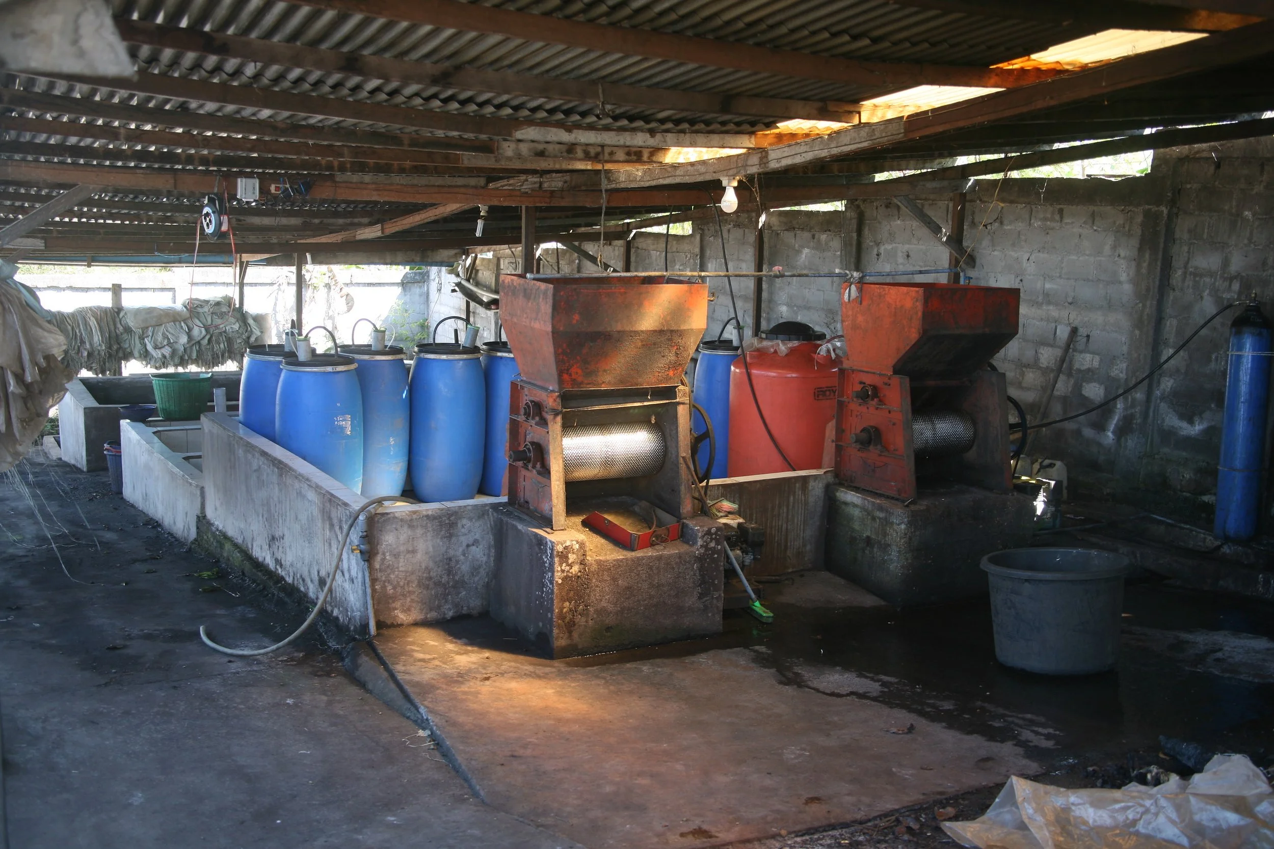 Pegasing Anaerobic.jpg