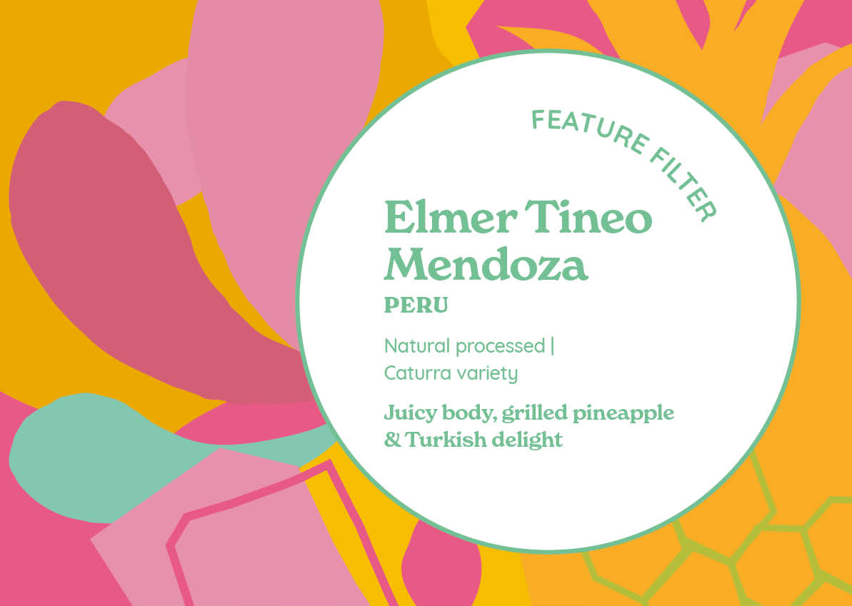FEATURE FILTER | Elmer Tineo Mendoza (Natural) | Peru