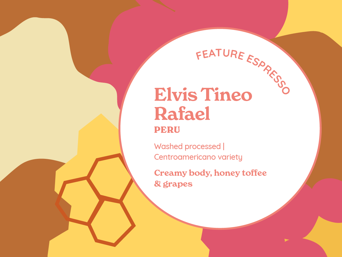 ElvisTineo Rafael_Esp_AW101x76_220304.png